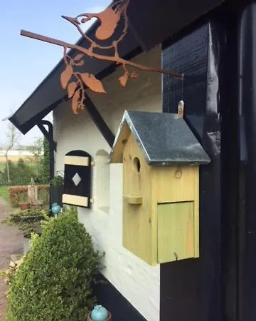 Buitenwaard Bed & Breakfast *