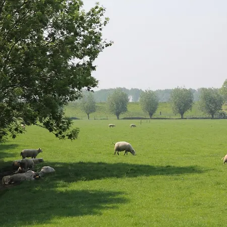 Bed & Breakfast Buitenwaard