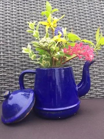 Buitenwaard Bed and breakfast