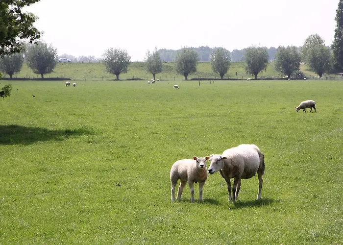 Buitenwaard Oosterhout (Gelderland)