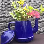 Buitenwaard Bed & Breakfast
