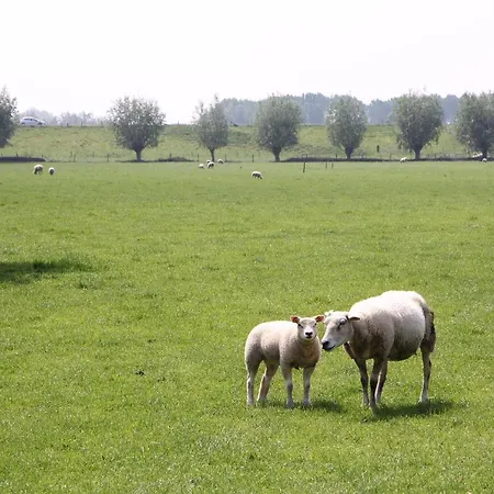 Buitenwaard Oosterhout (Gelderland)