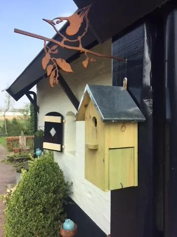 Buitenwaard Bed & Breakfast *