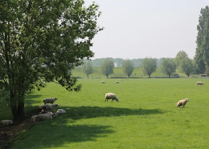 Bed & Breakfast Buitenwaard